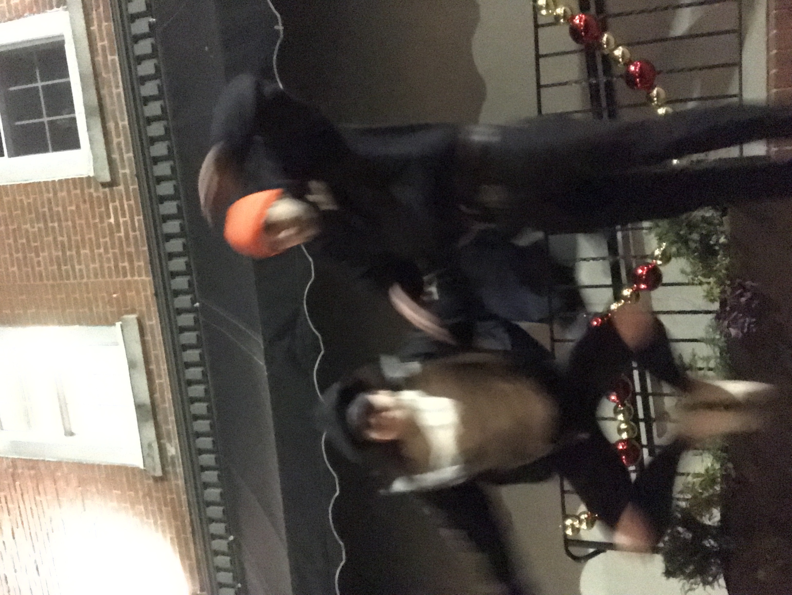 jumpy