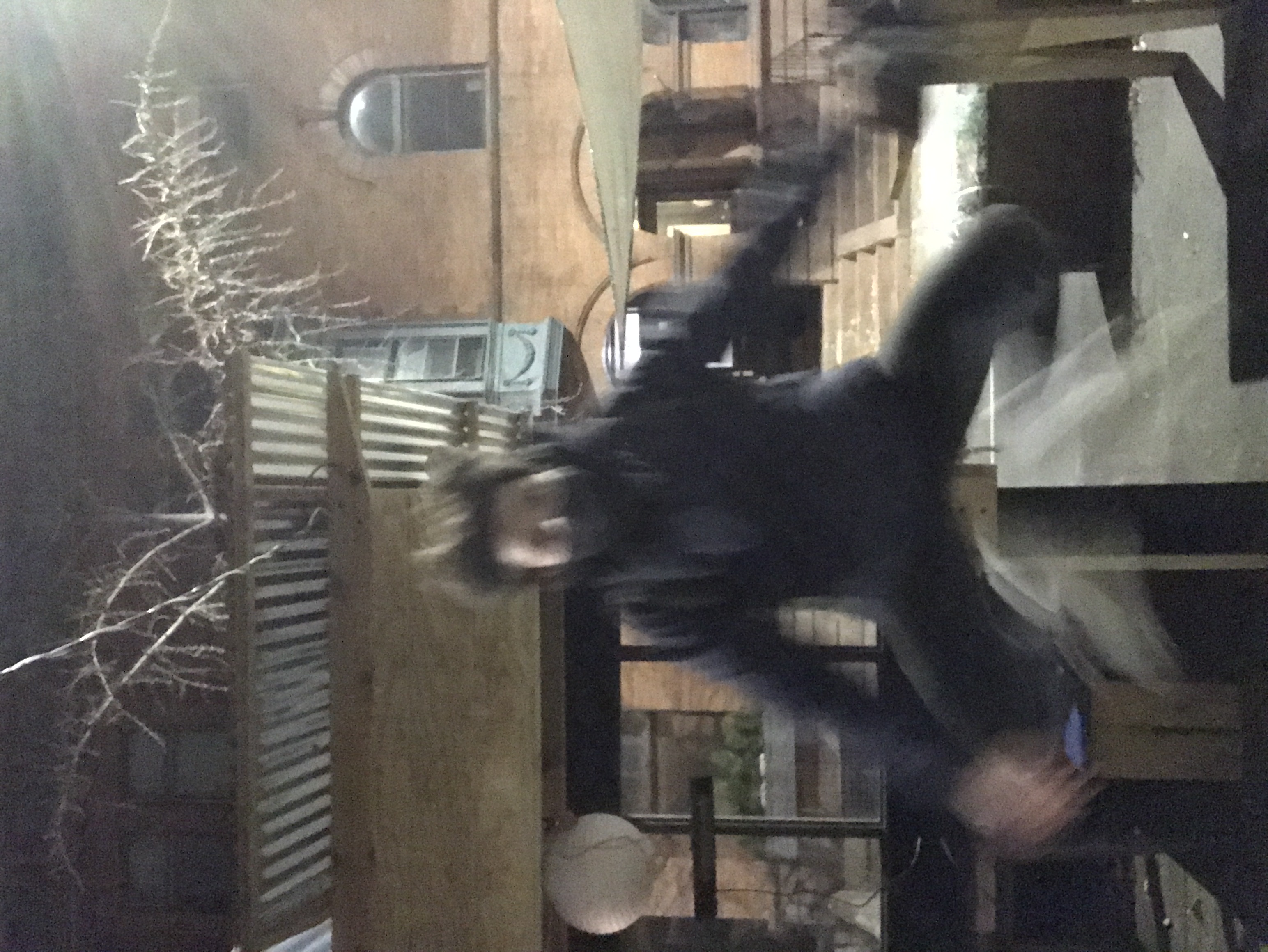 jumpy