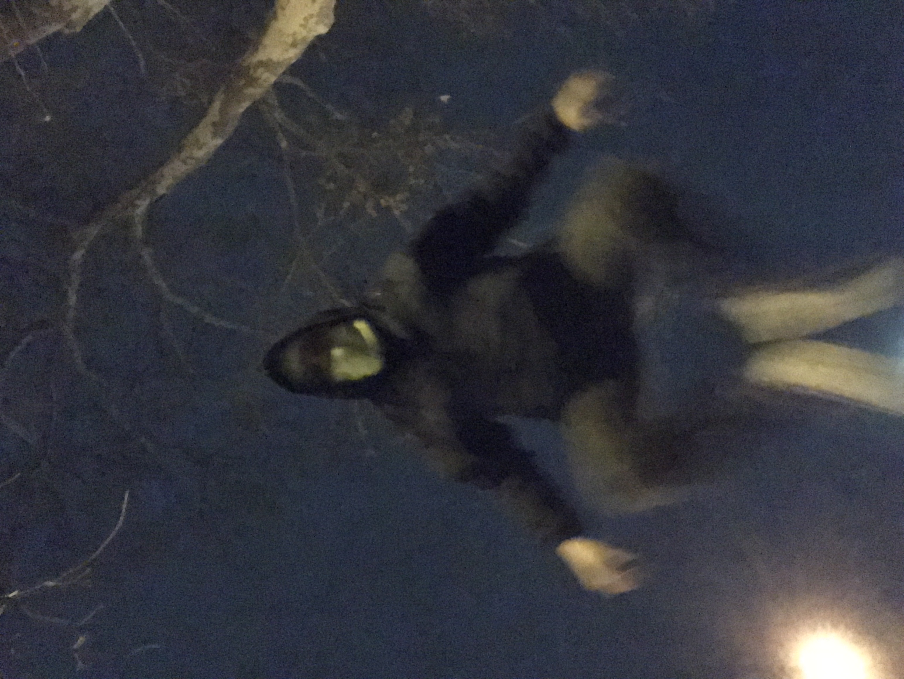 jumpy