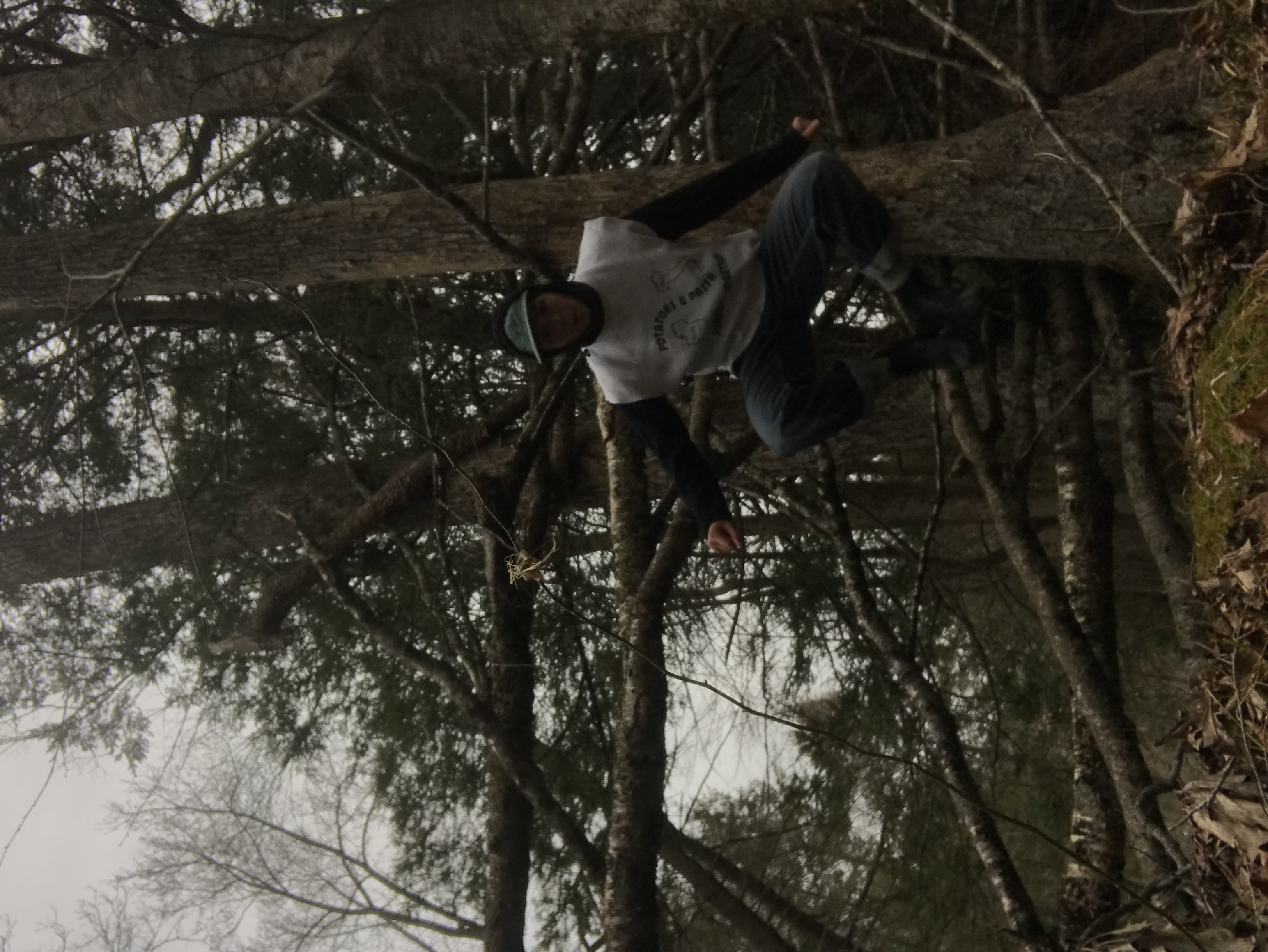 jumpy