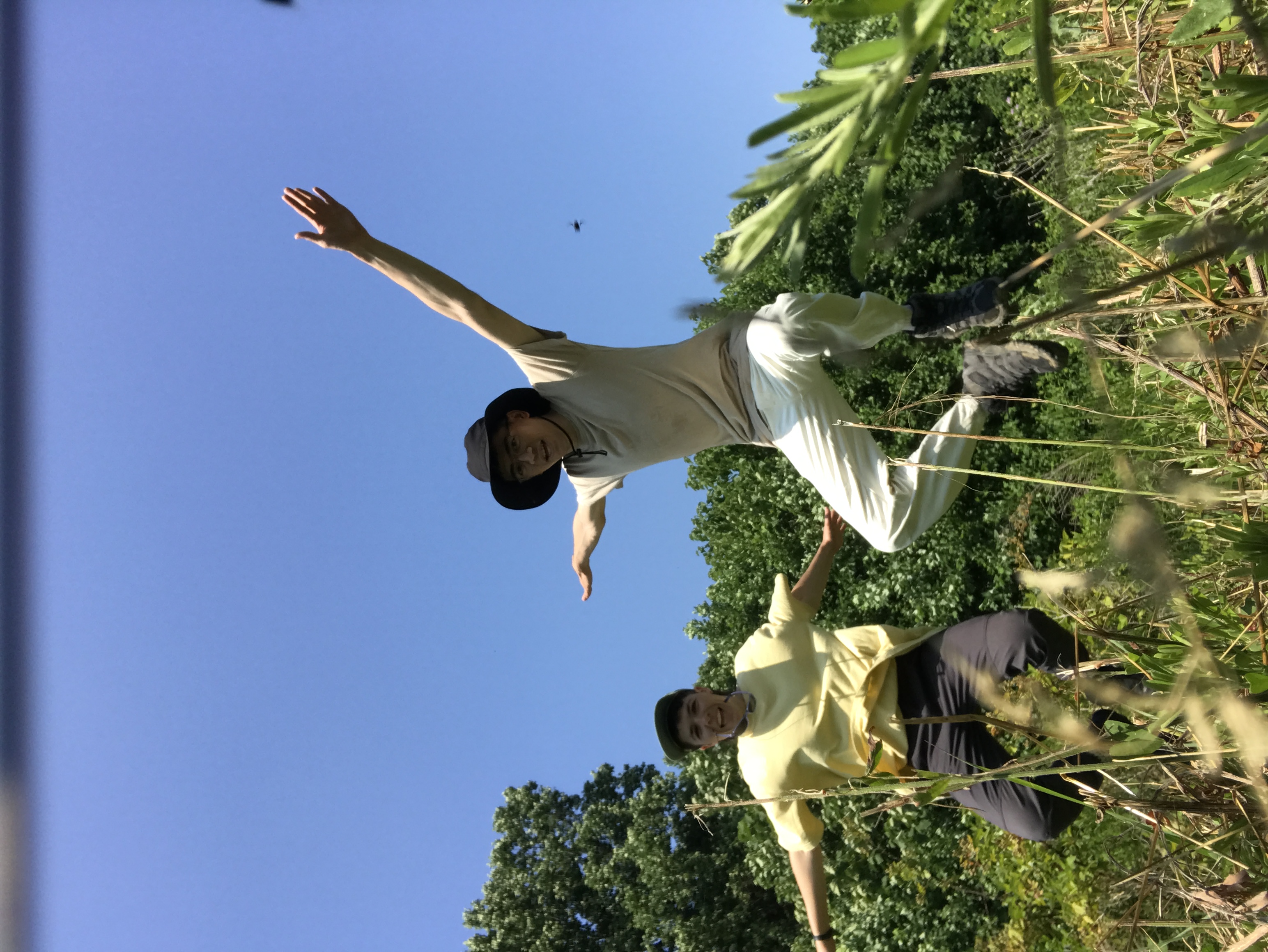 jumpy
