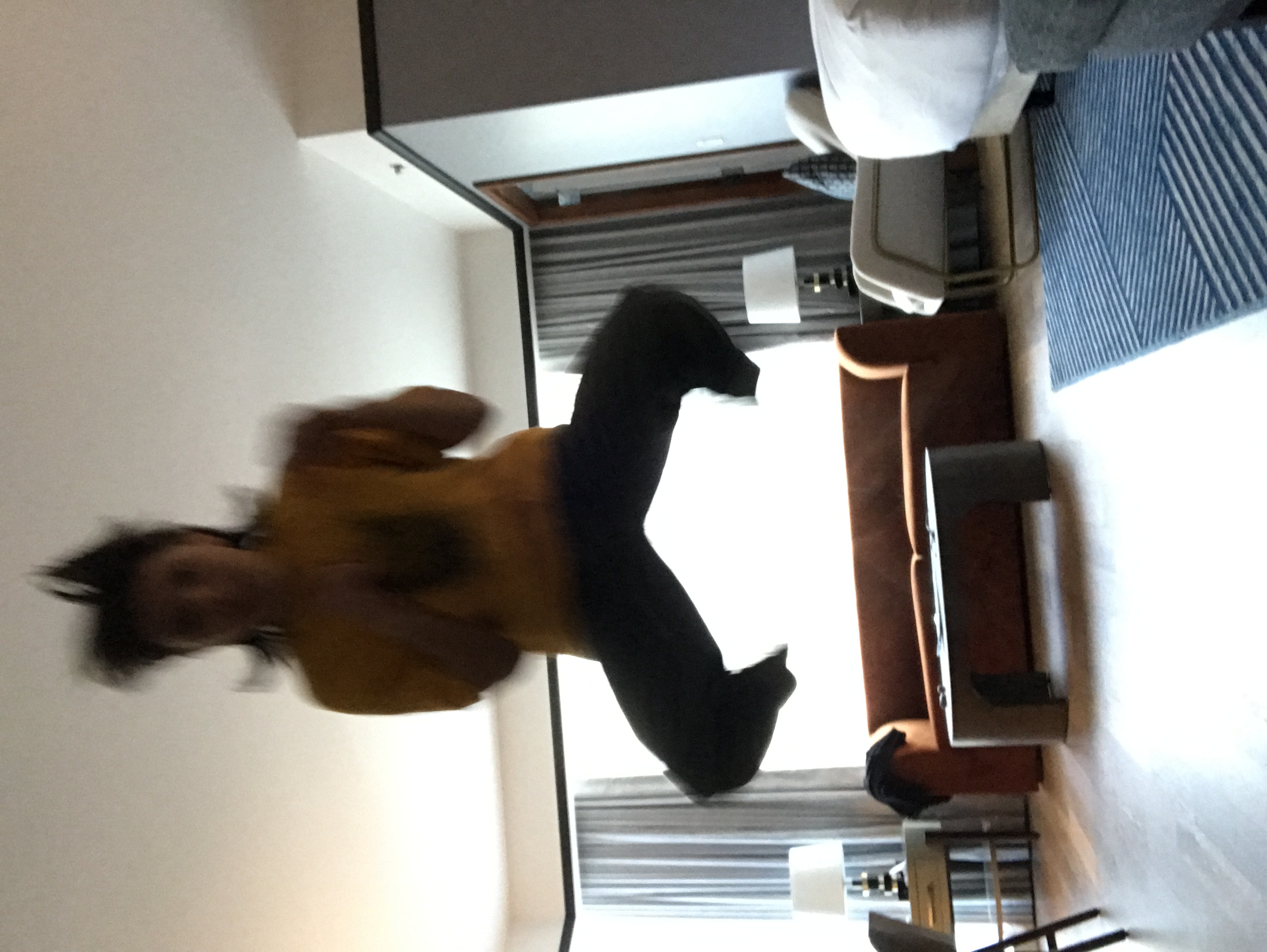 jumpy