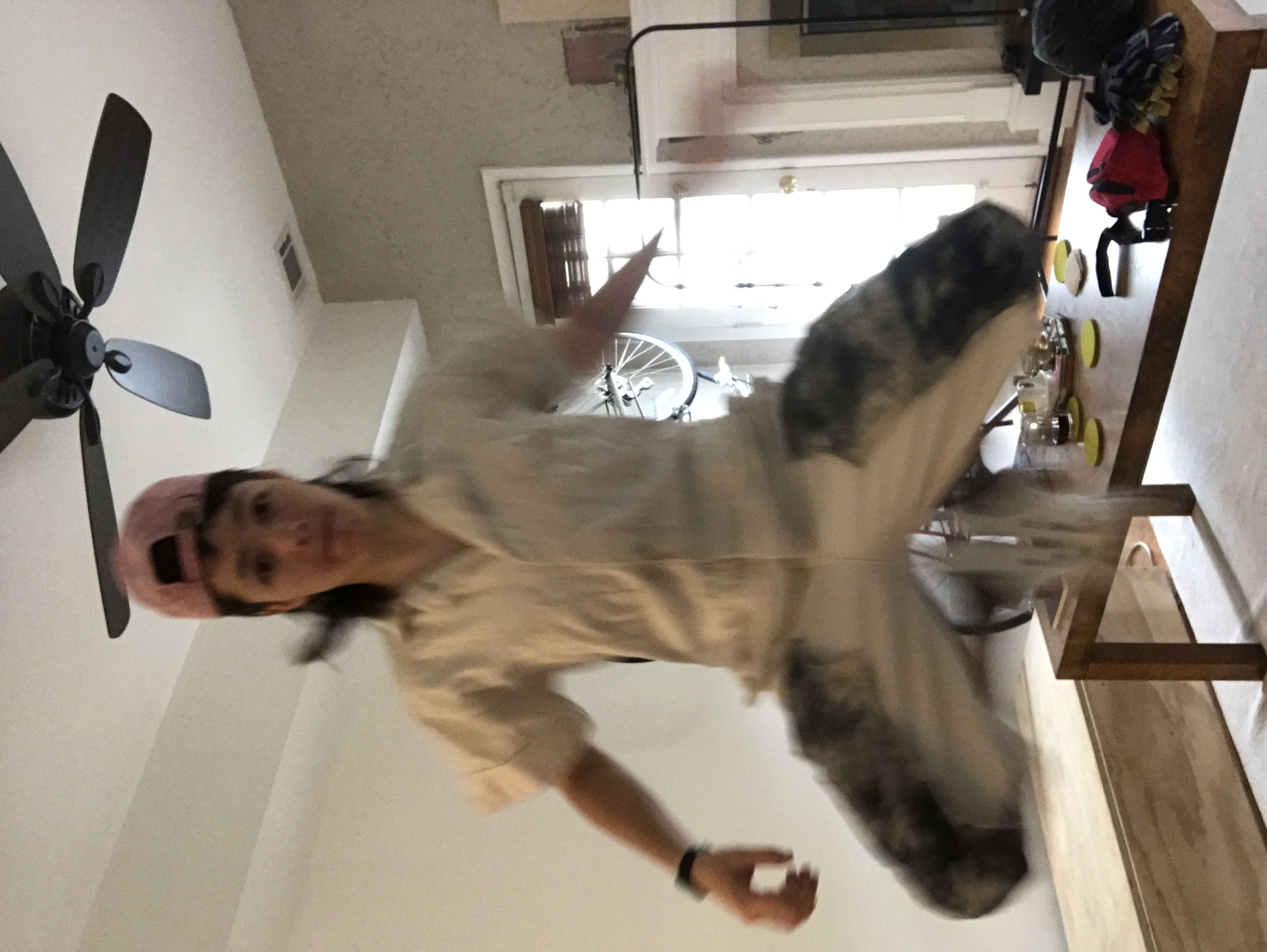 jumpy