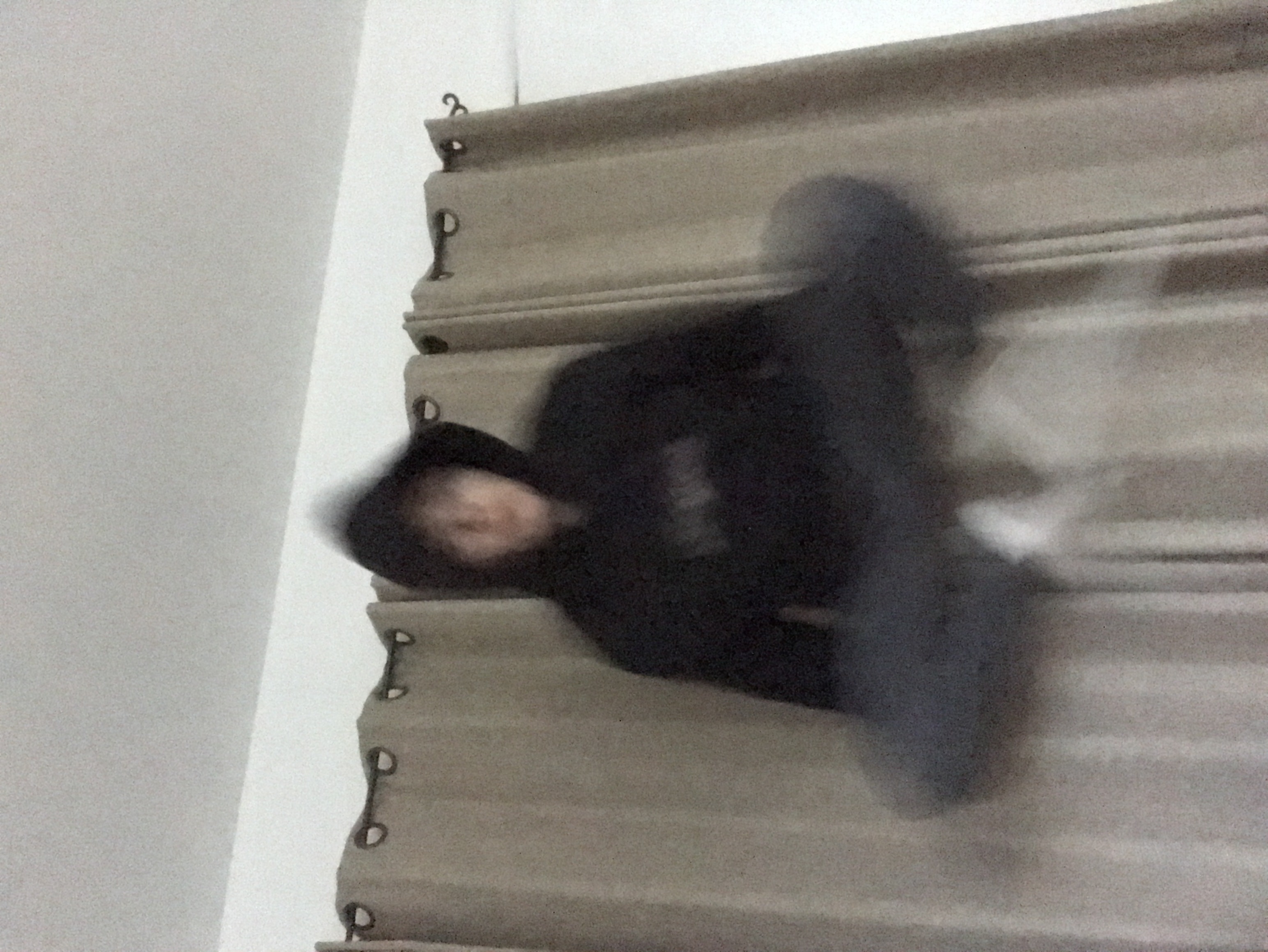 jumpy