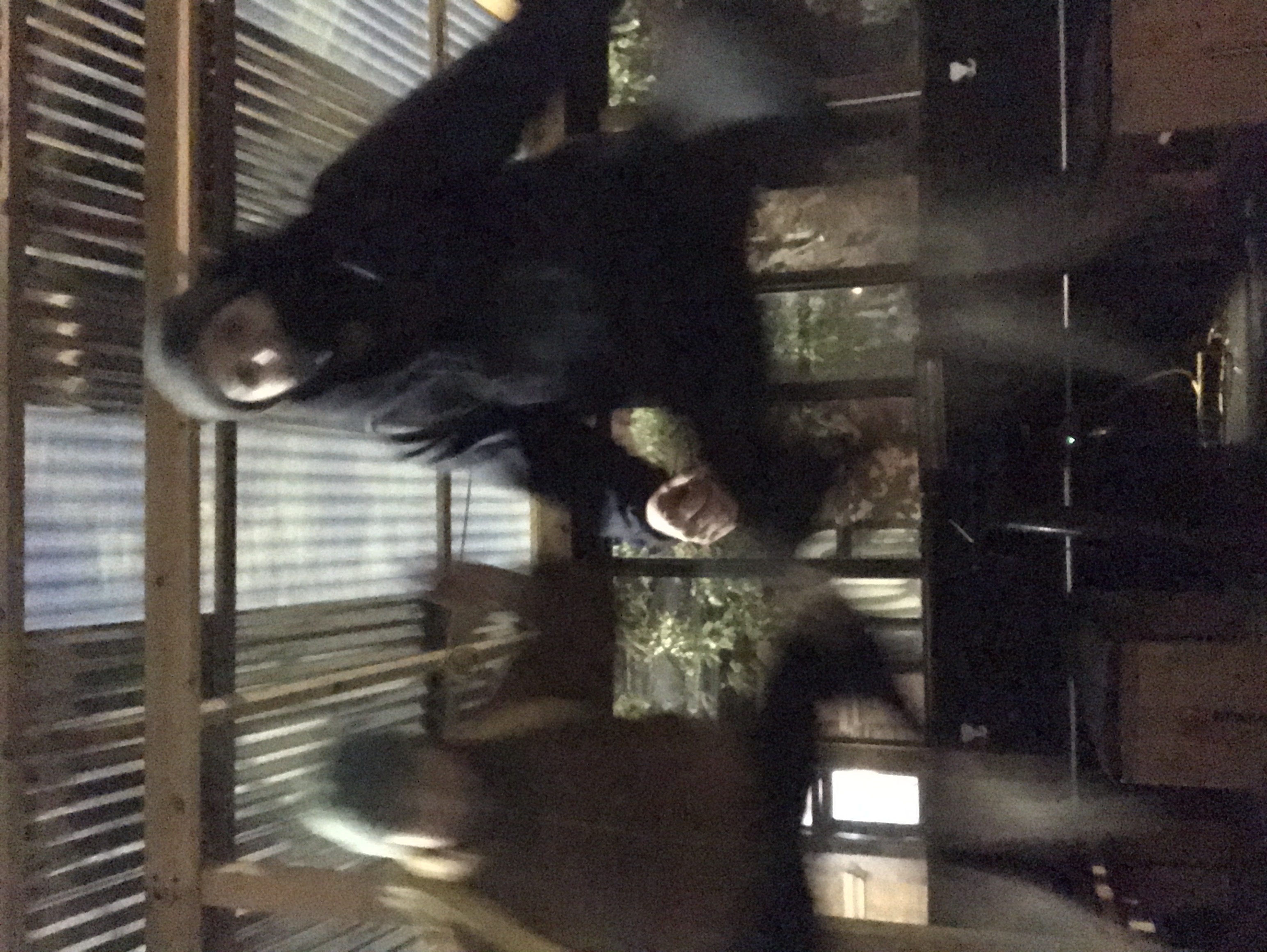 jumpy