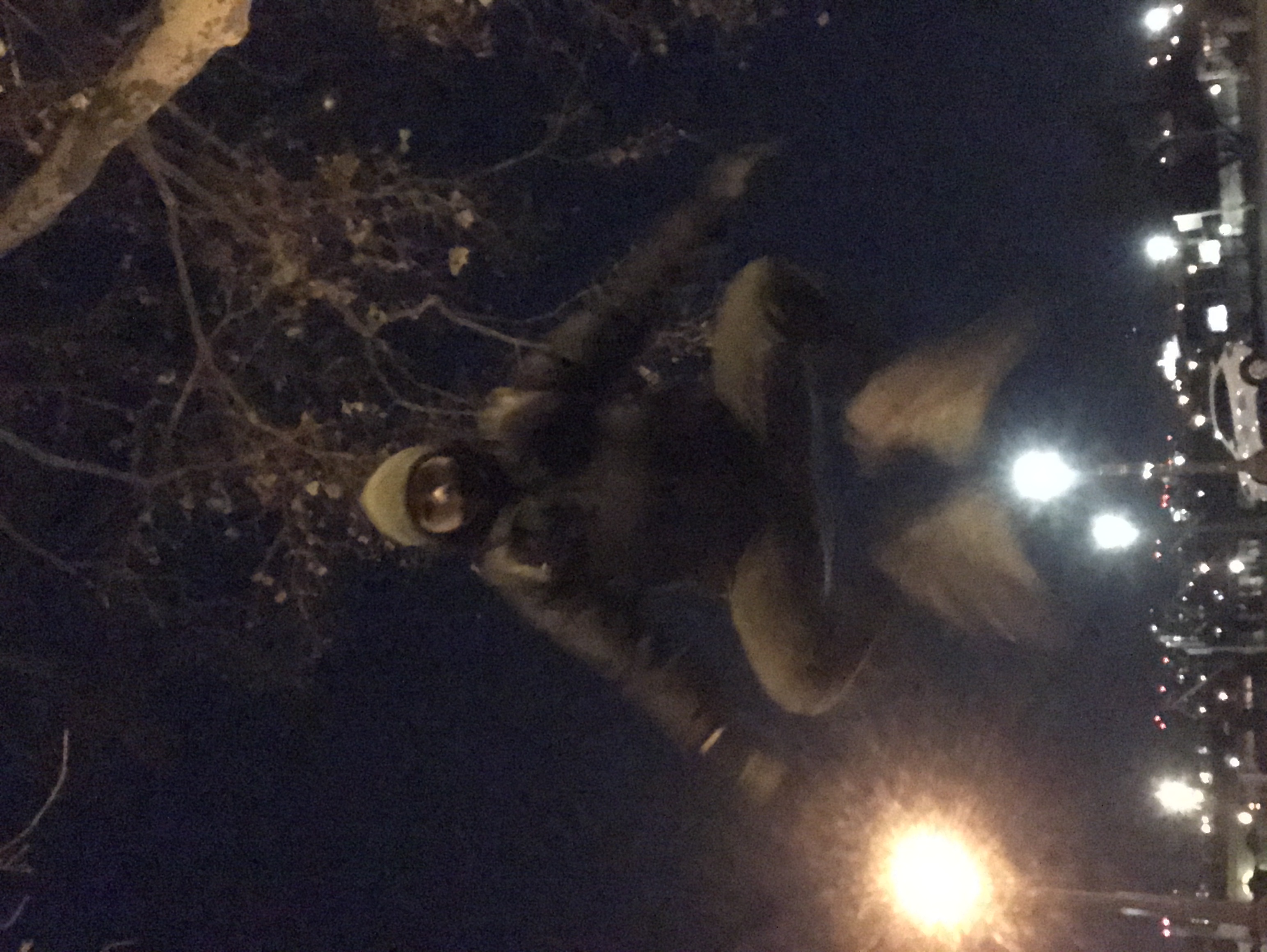 jumpy